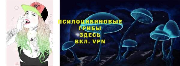 метадон Михайлов