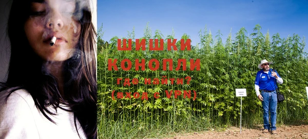молекула духа Алапаевск